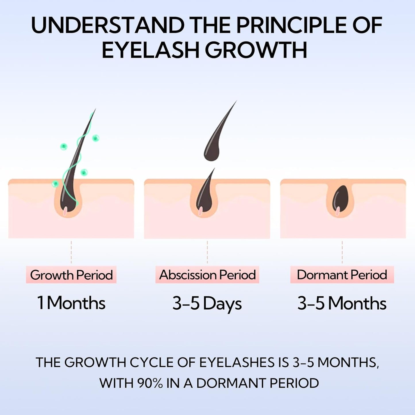 Eyelash Growth Serum, Advanced Eyelash Treatment (Eyelash Growth Serum - B)