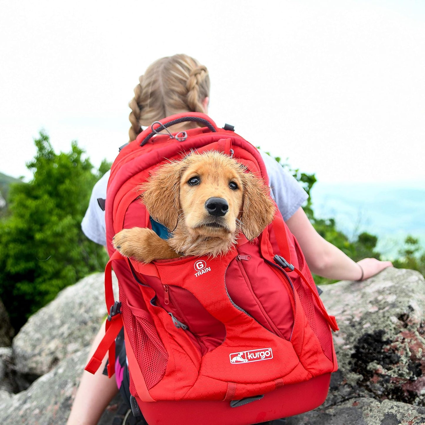 G-Train - Dog Carrier Backpack for Small Pets - Cat & Dog Backpack for Hiking, Camping or Travel - Waterproof Bottom - Red