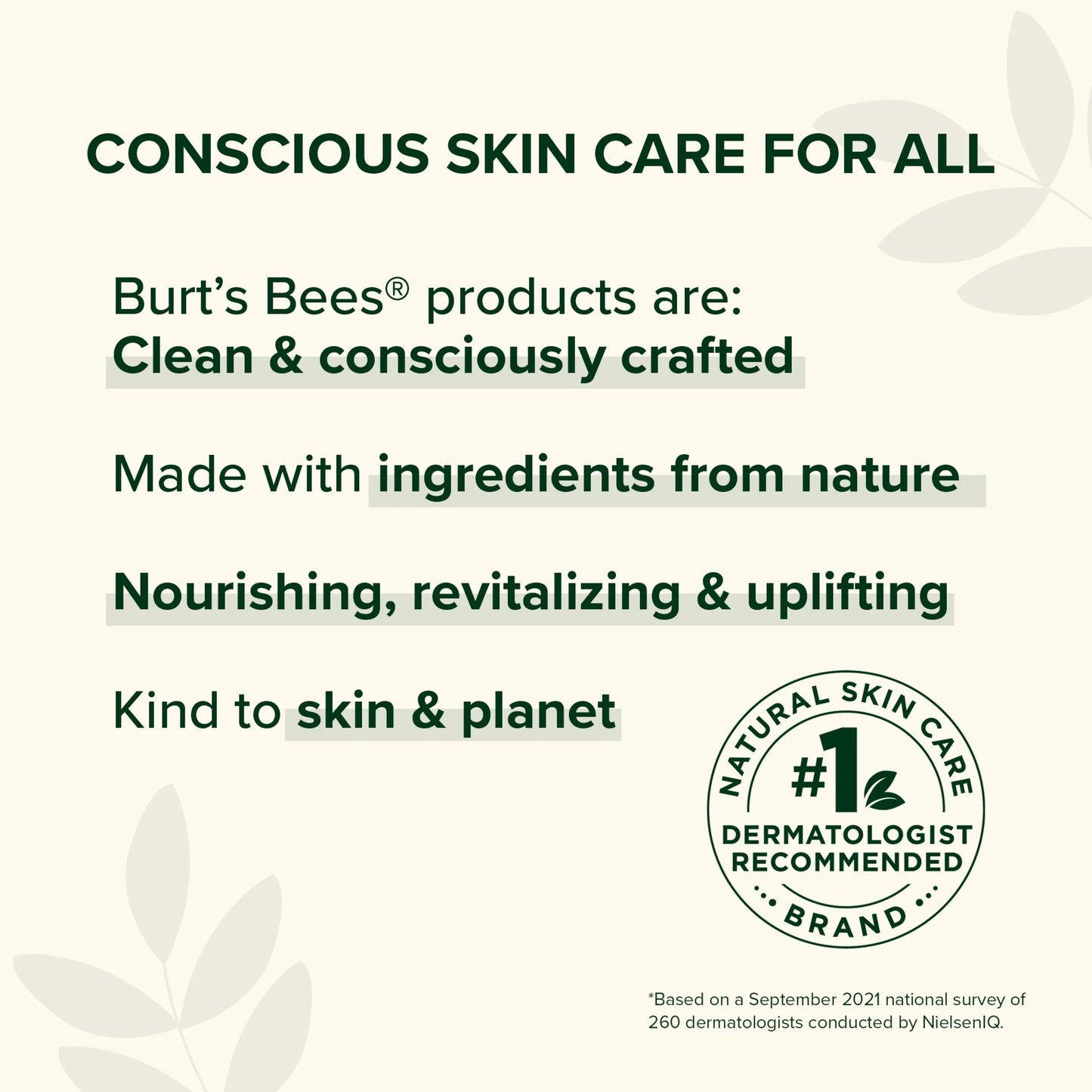 Burts Bees Detoxifying Clay Mask, 2.5 Oz