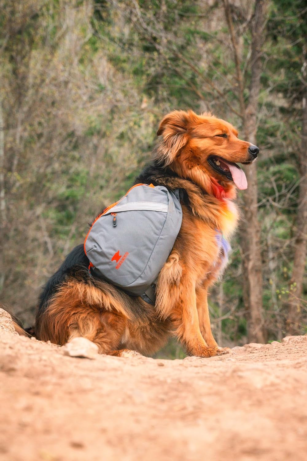 K-9 Pack