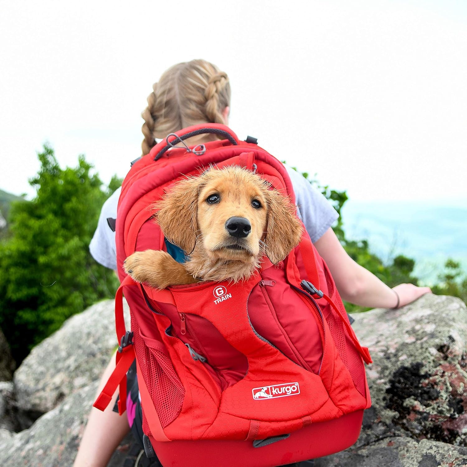 G-Train - Dog Carrier Backpack for Small Pets - Cat & Dog Backpack for Hiking, Camping or Travel - Waterproof Bottom - Red