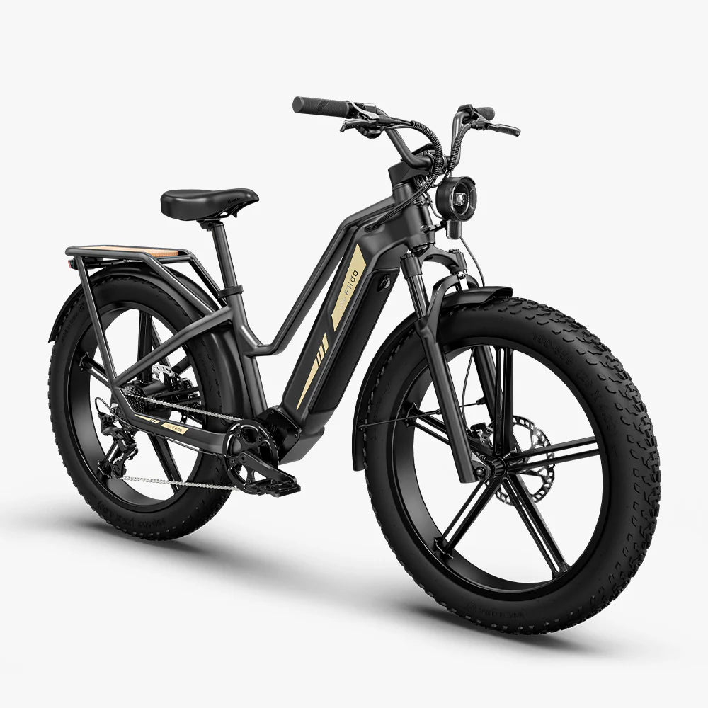 Titan Fat Tire Touring Ebike - Long Range