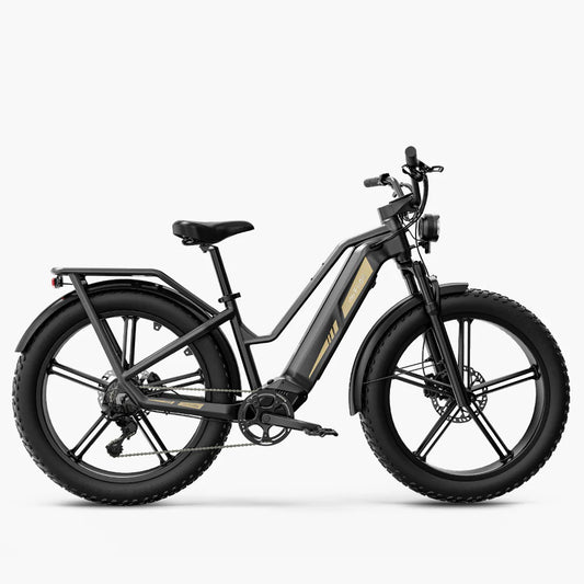 Titan Fat Tire Touring Ebike - Long Range