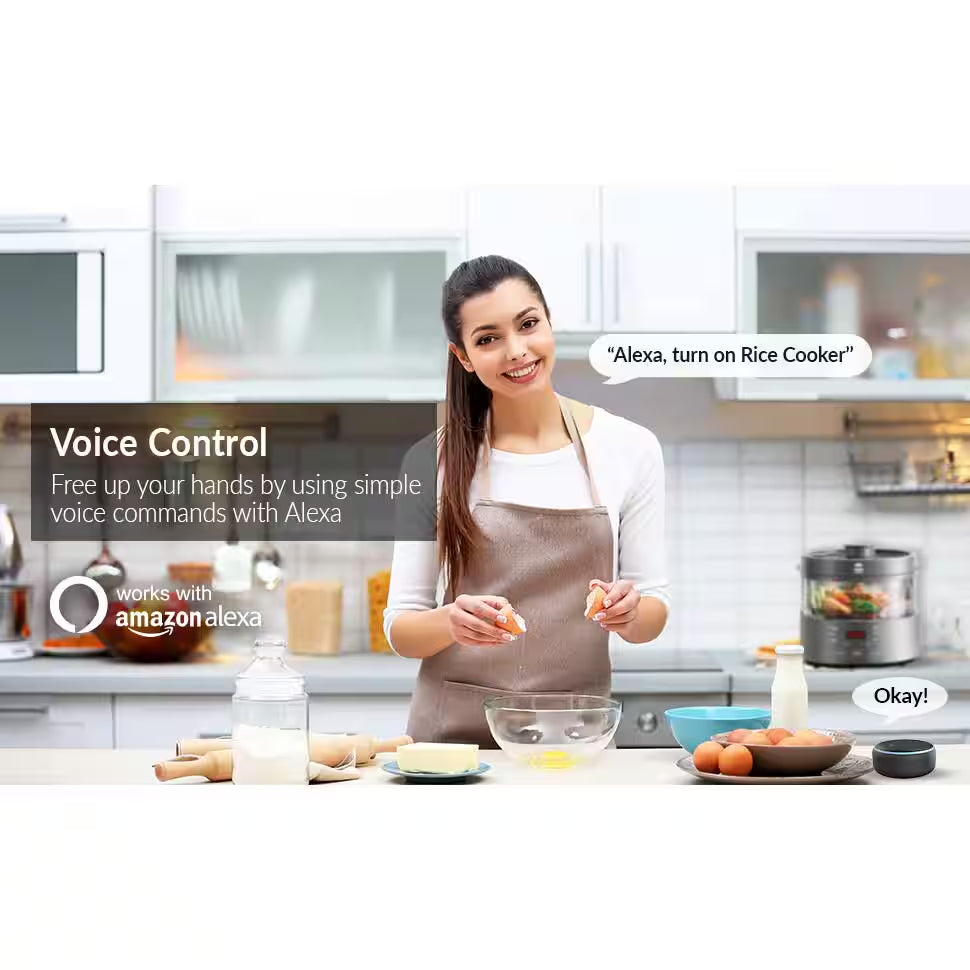 Wi-Fi Smart Socket Voice and App Control Smart Plug 4 Ct