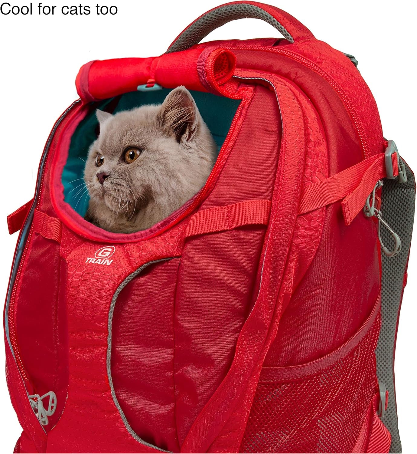 G-Train - Dog Carrier Backpack for Small Pets - Cat & Dog Backpack for Hiking, Camping or Travel - Waterproof Bottom - Red